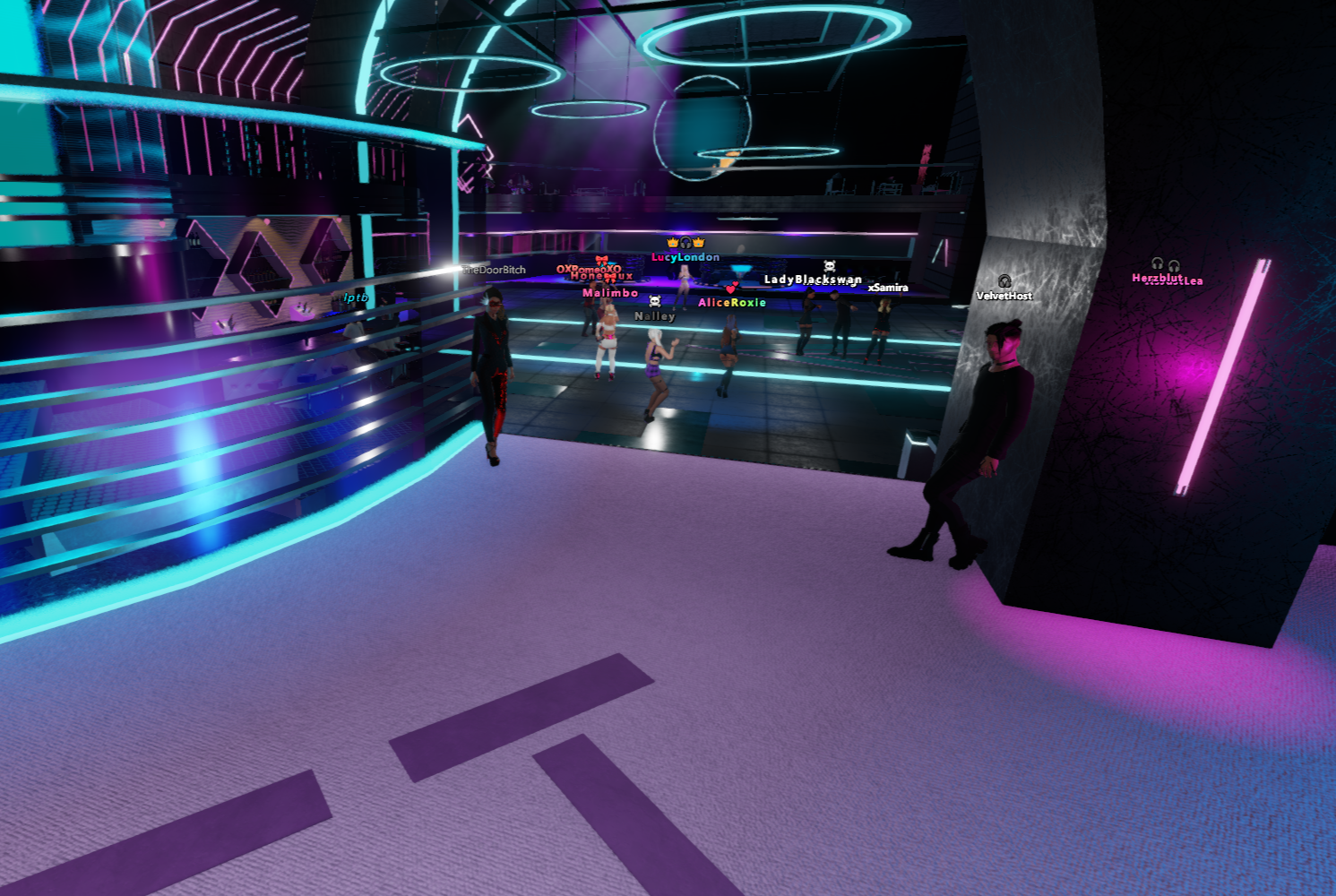 Velvet 26.01.2026